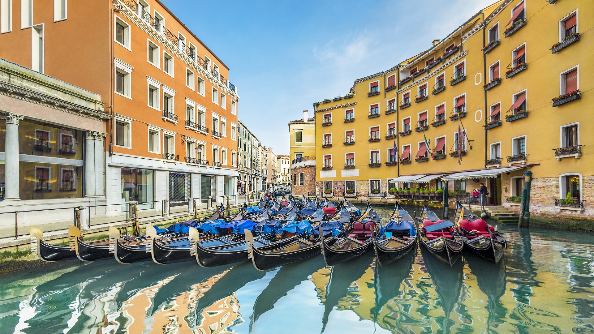 The highlights of Venice - Private Live Virtual Experience