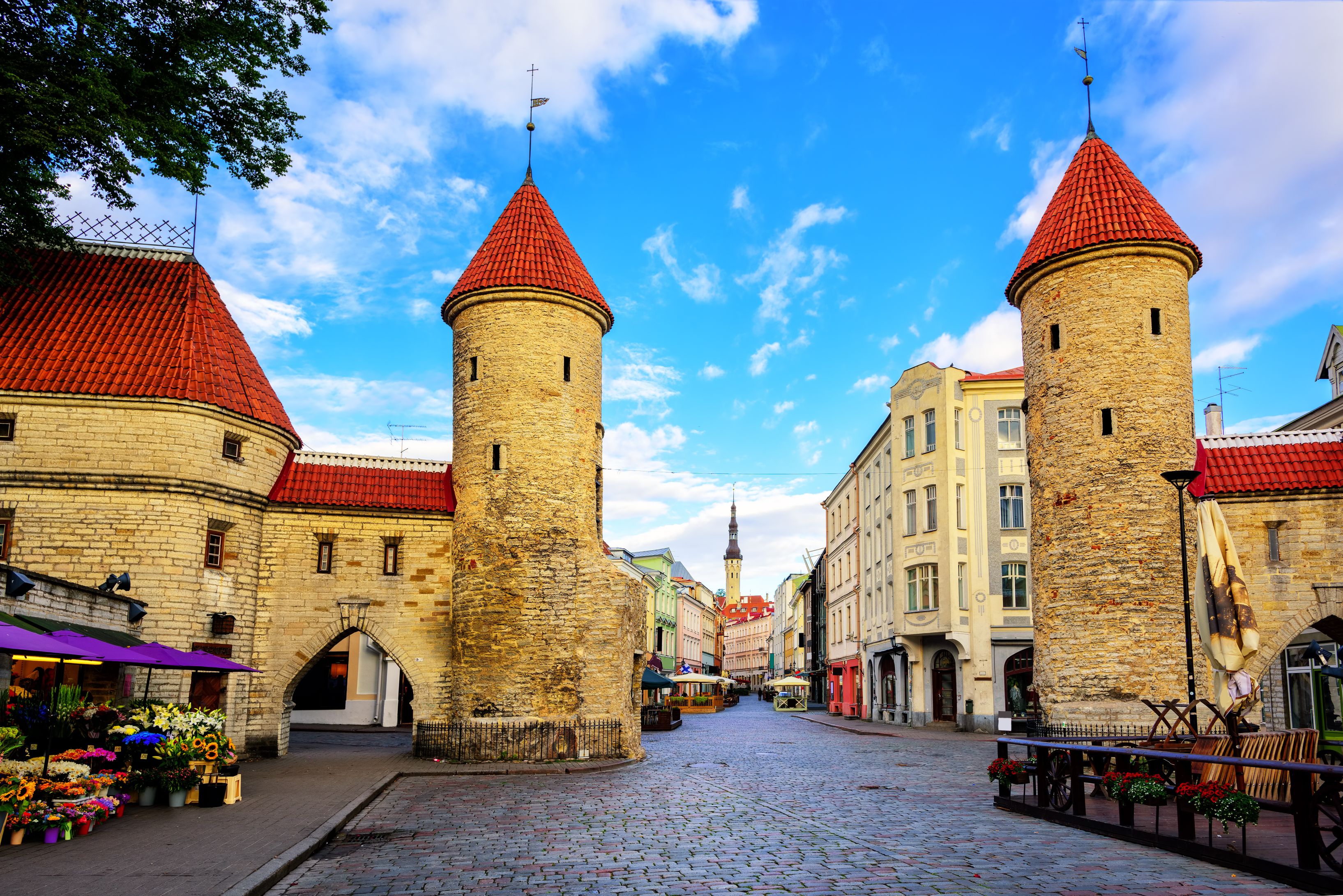 Private tour of Tallinn